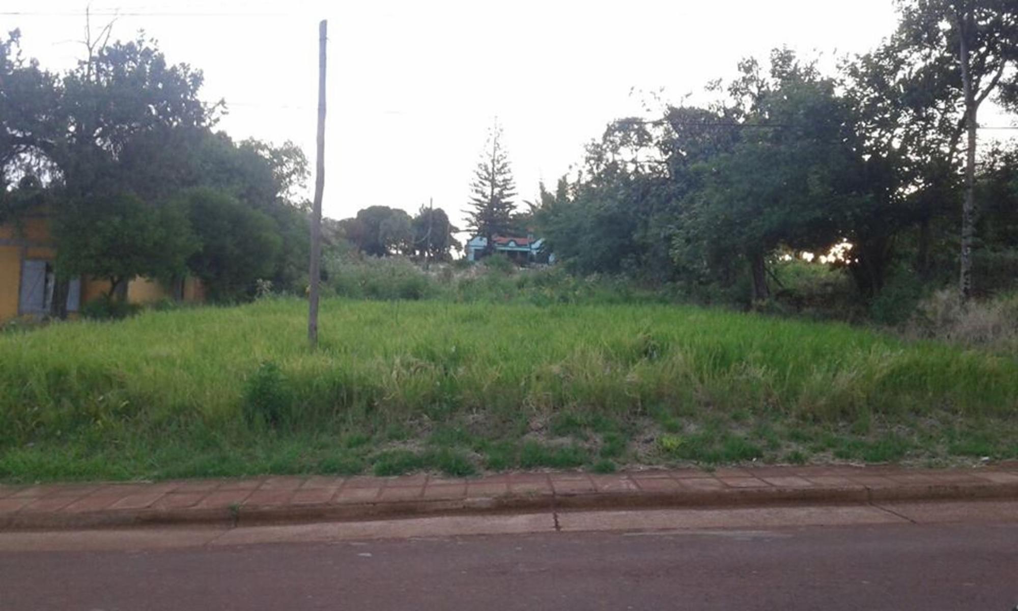 Avenida Libertador · Leandro N. Alem — foto 4