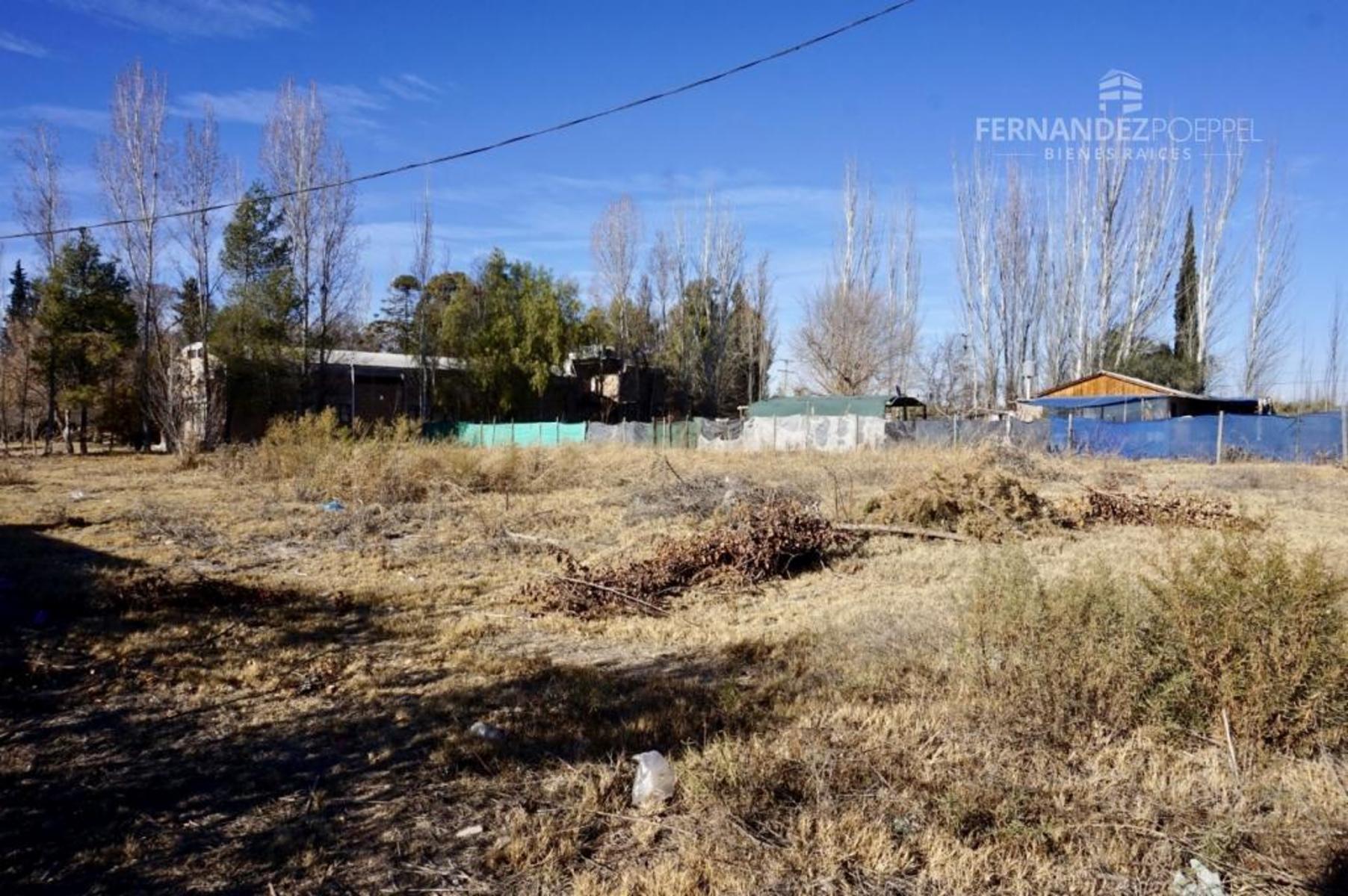 Ruta 50 · Maipú — foto 12