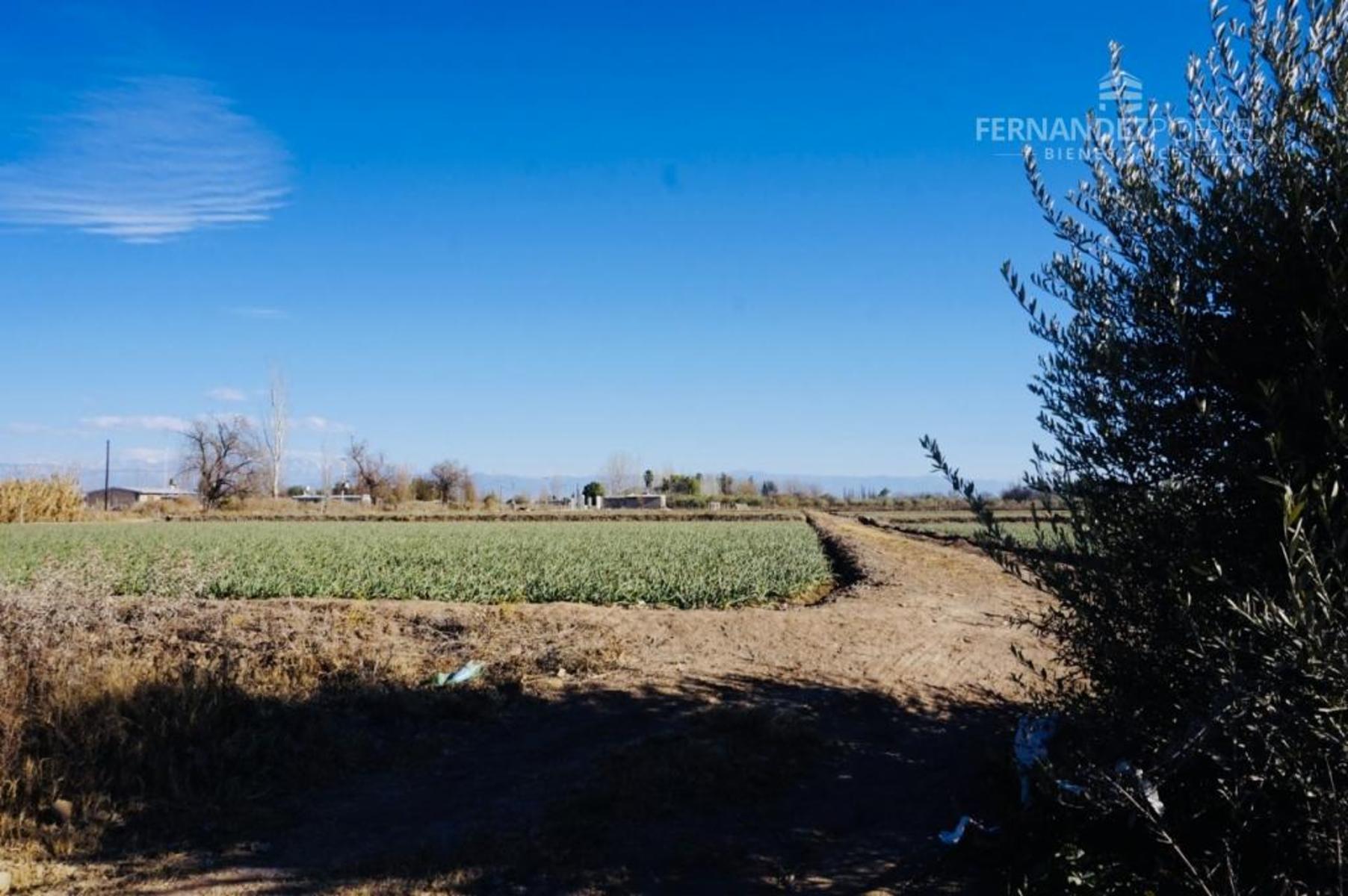 Ruta 50 · Maipú — foto 6
