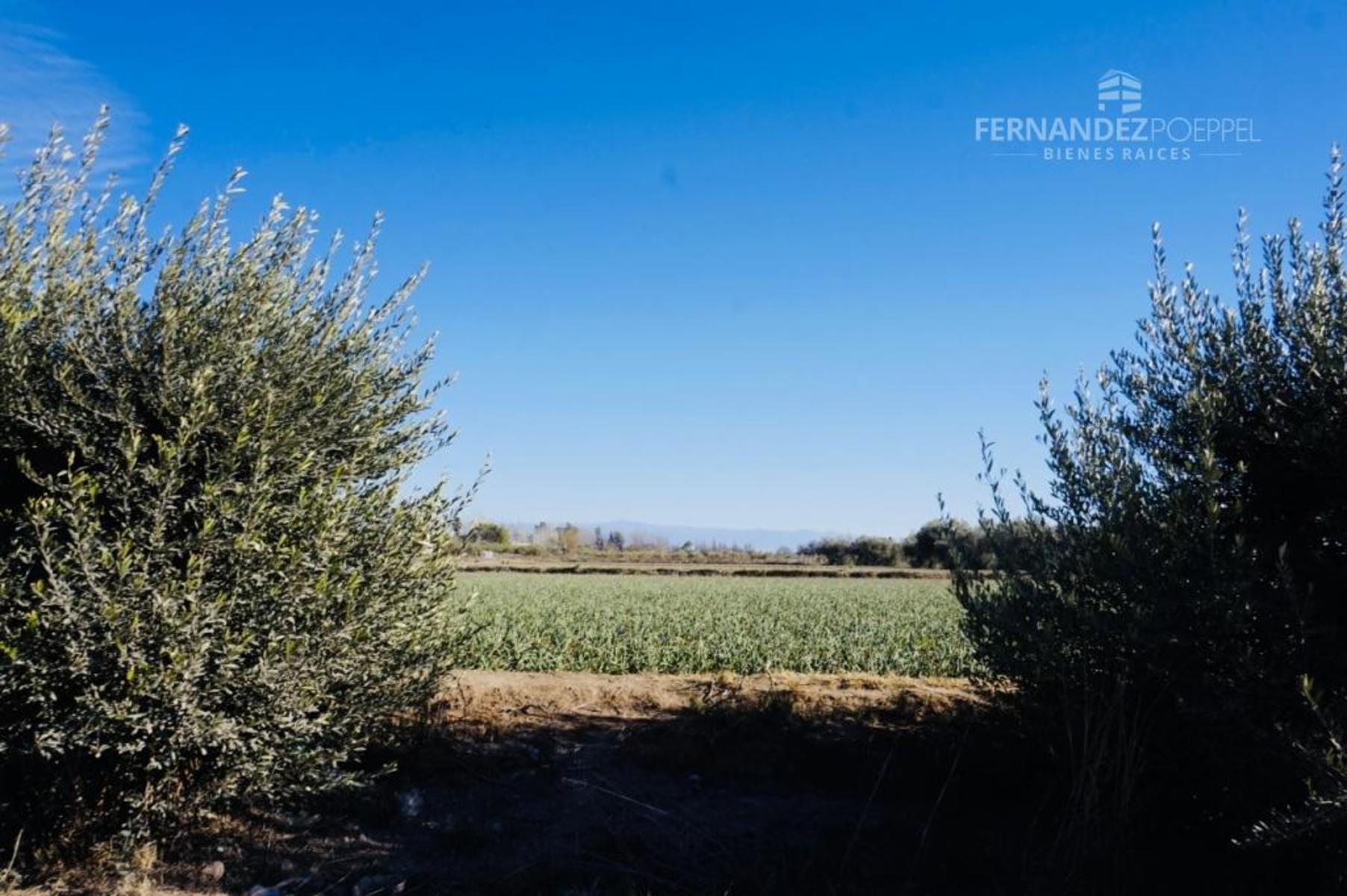 Ruta 50 · Maipú — foto 10