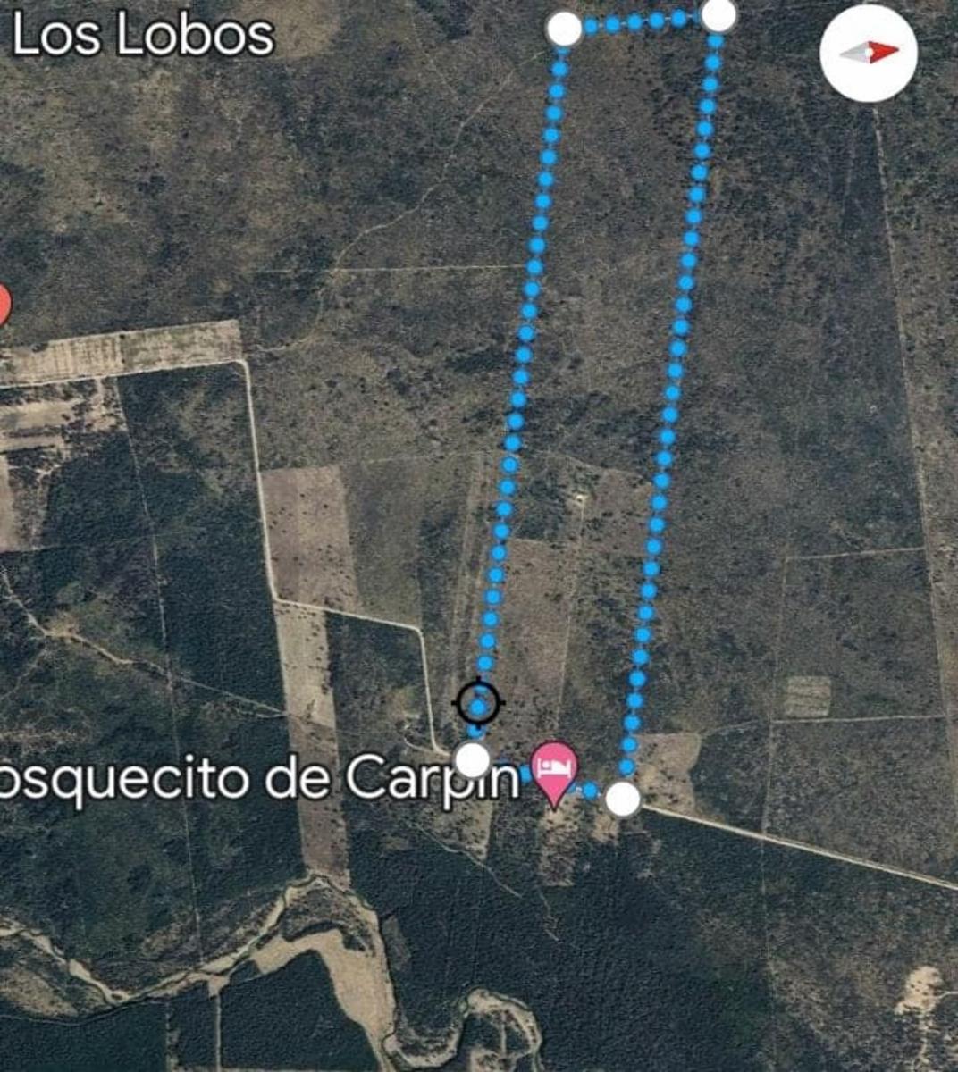 VENTA CAMPO EN PARAJE LOS LOBOS