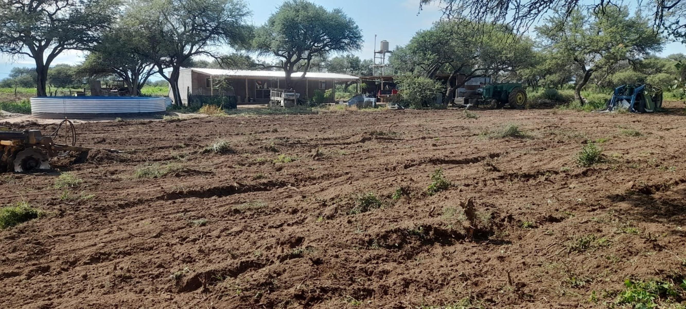 PARAJE LOS LOBOS, SAN LUIS · Chacabuco — foto 11
