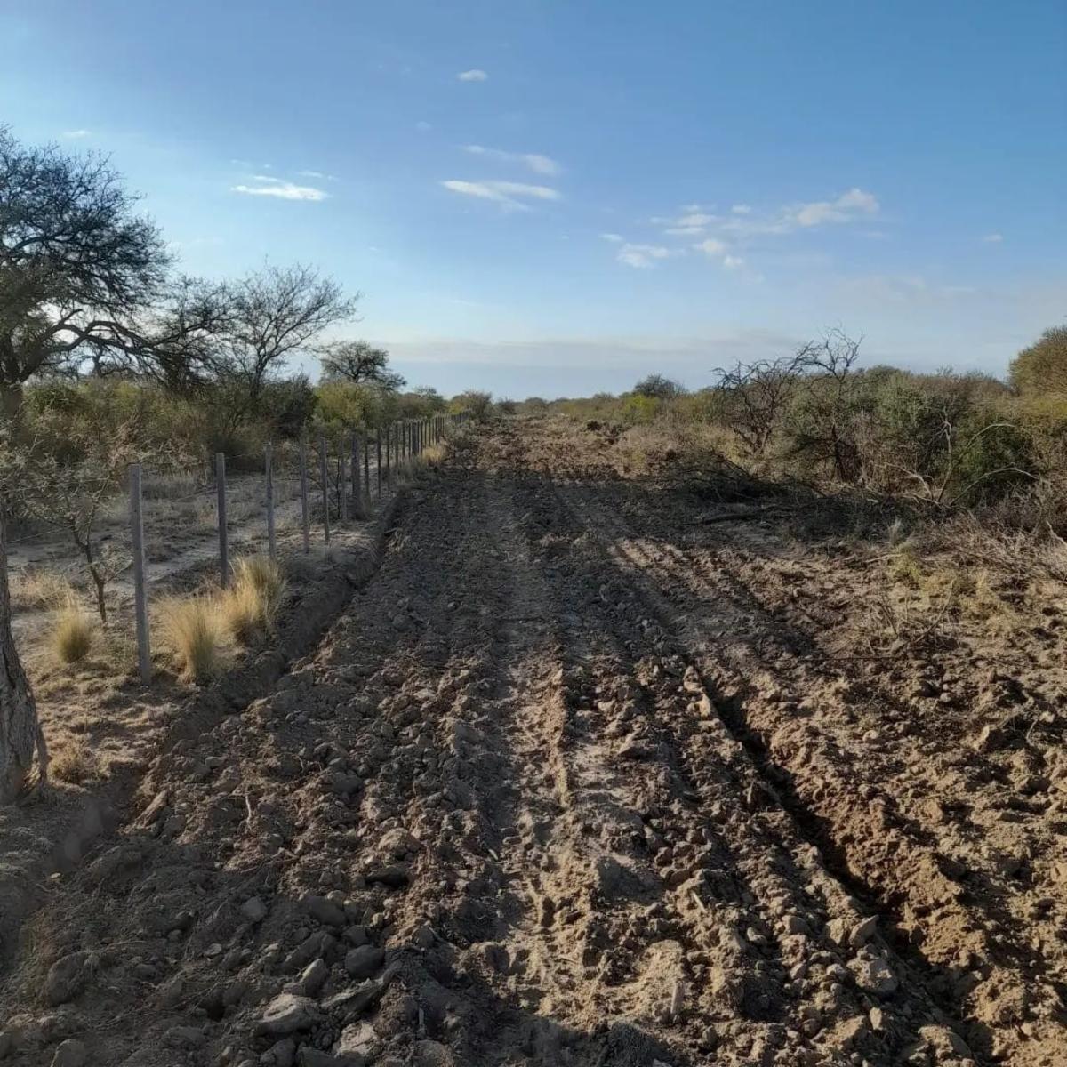 PARAJE LOS LOBOS, SAN LUIS · Chacabuco — foto 15