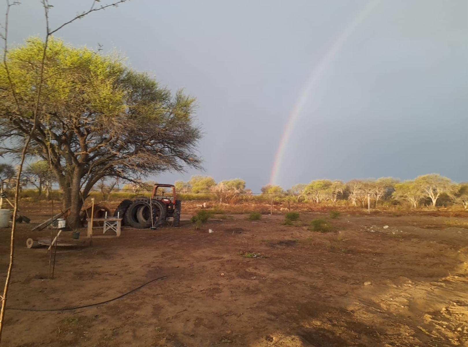 PARAJE LOS LOBOS, SAN LUIS · Chacabuco — foto 5