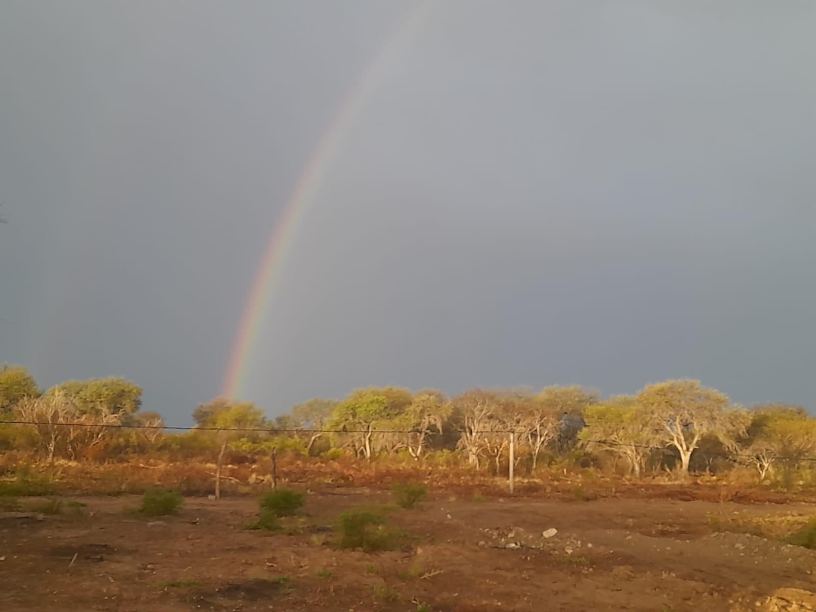 PARAJE LOS LOBOS, SAN LUIS · Chacabuco — foto 9