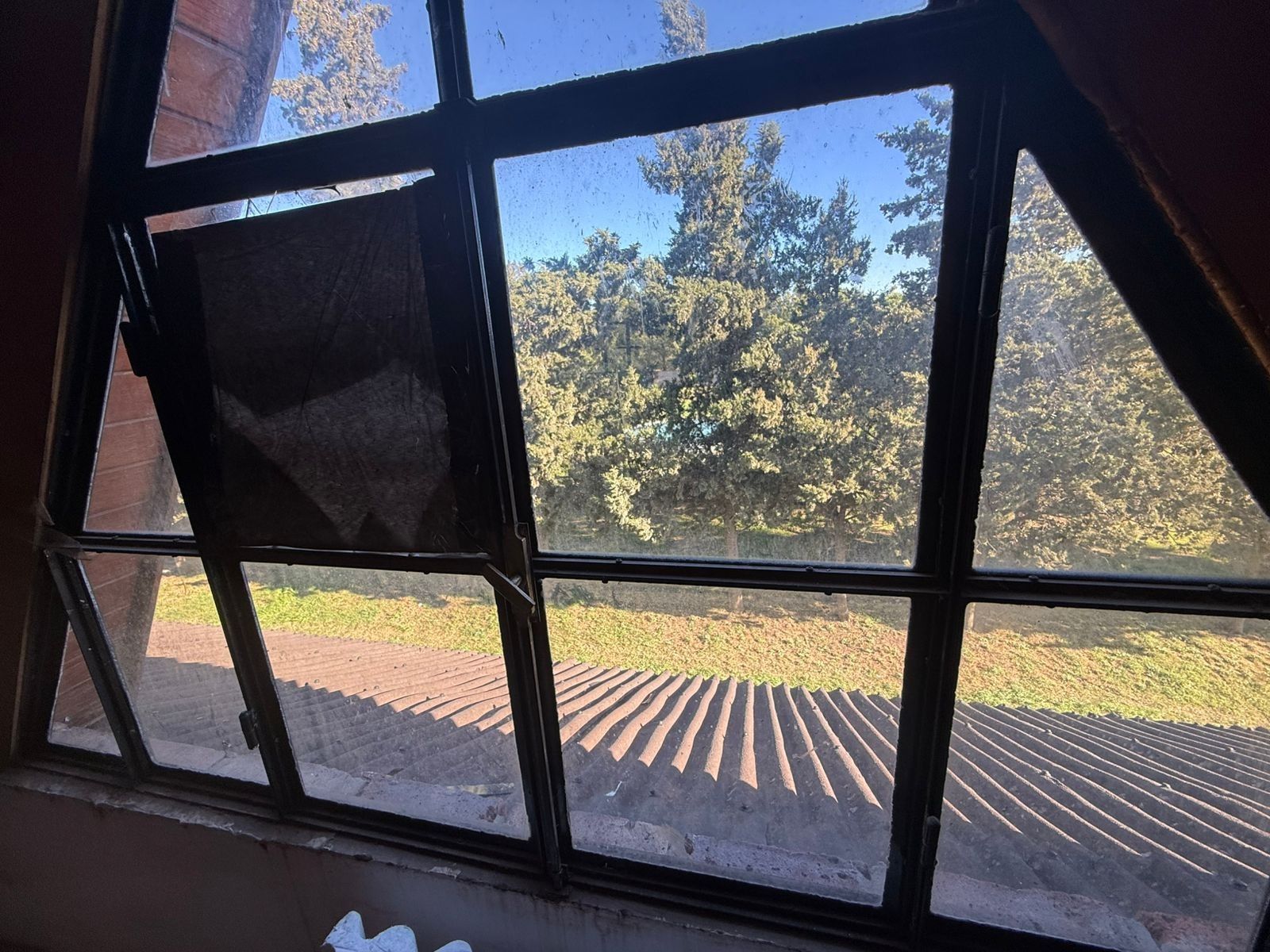 Lucia Miranda 135 · Bahia Blanca — foto 18