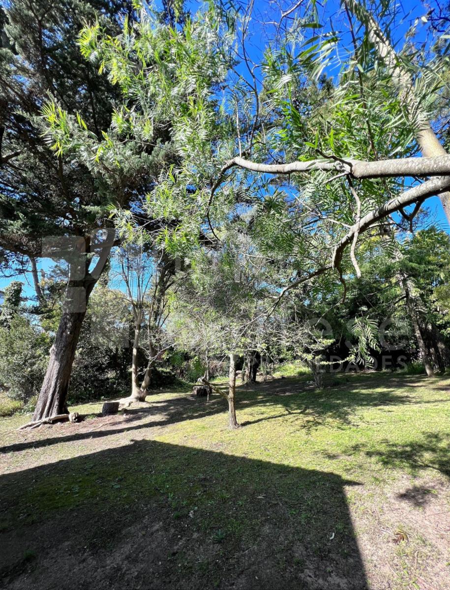 Avenida 5 entre Paseos 126 y 127 · Villa Gesell — foto 13