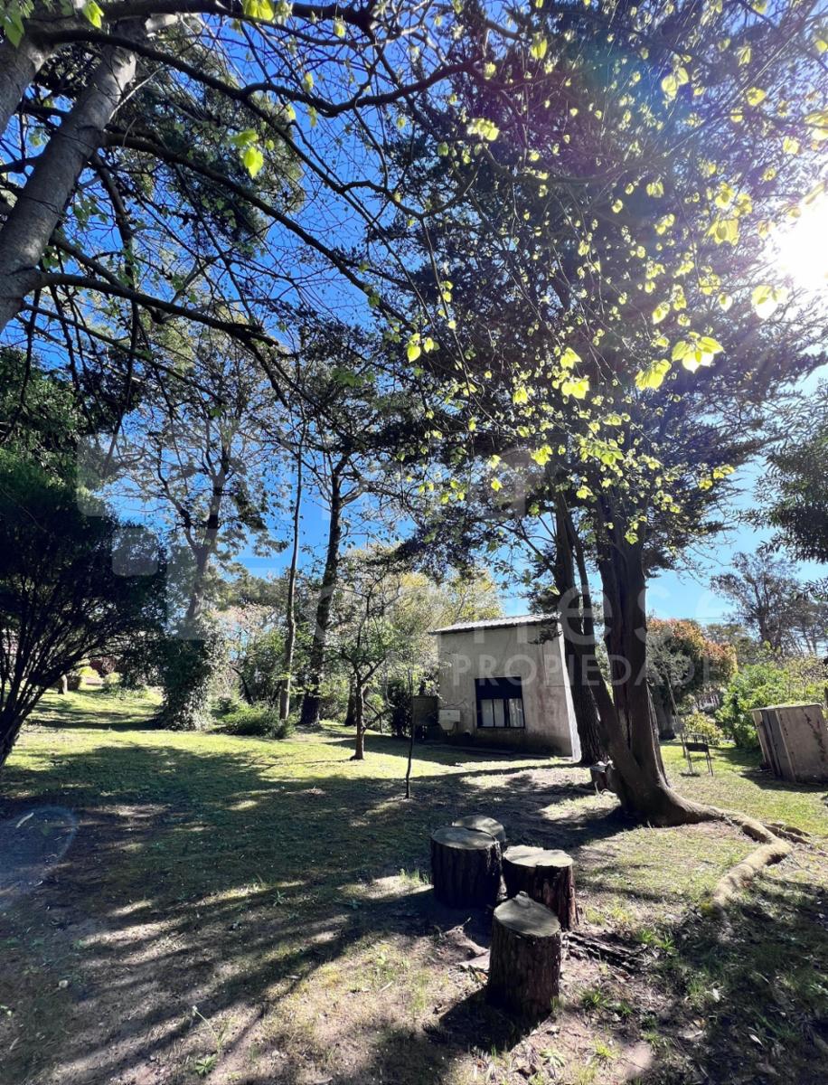 Avenida 5 entre Paseos 126 y 127 · Villa Gesell — foto 10
