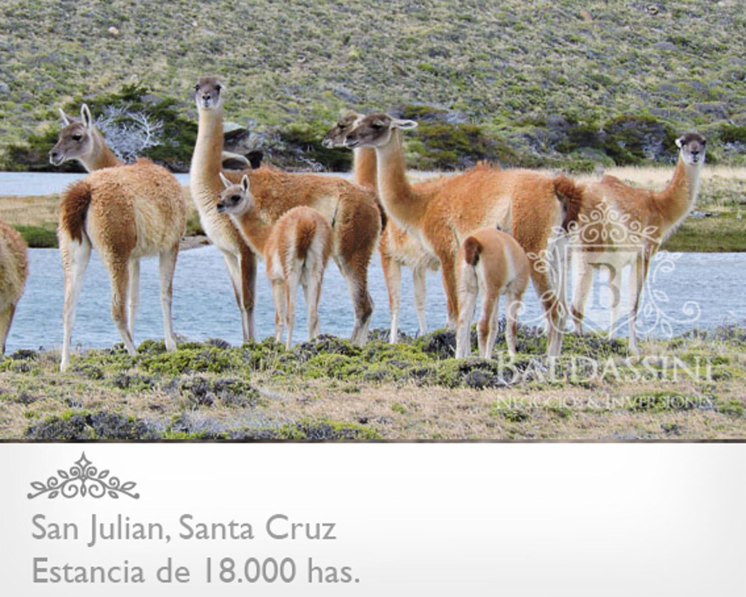 ESTANCIA DE 18.000 HAS EN SAN JULIAN ENTRE RUTA 3 Y RUTA 25 · Magallanes — foto 12