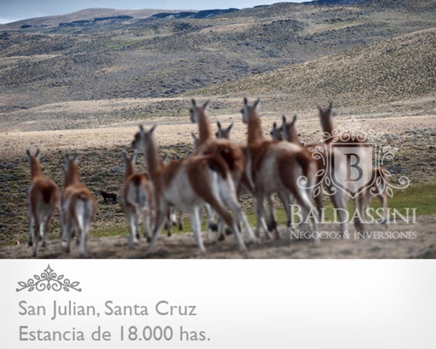 ESTANCIA DE 18.000 HAS EN SAN JULIAN ENTRE RUTA 3 Y RUTA 25 · Magallanes — foto 13