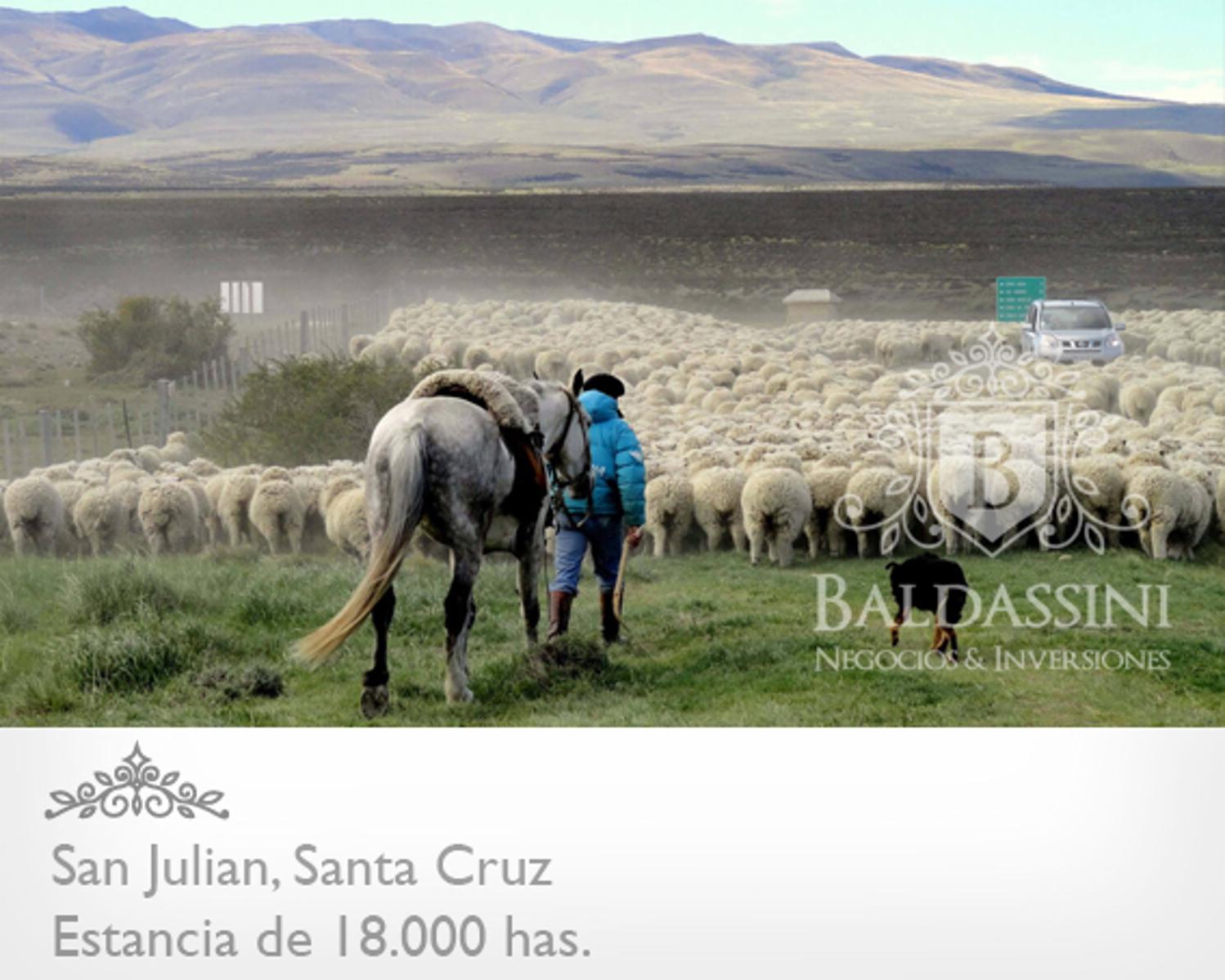 ESTANCIA DE 18.000 HAS EN SAN JULIAN ENTRE RUTA 3 Y RUTA 25 · Magallanes — foto 14