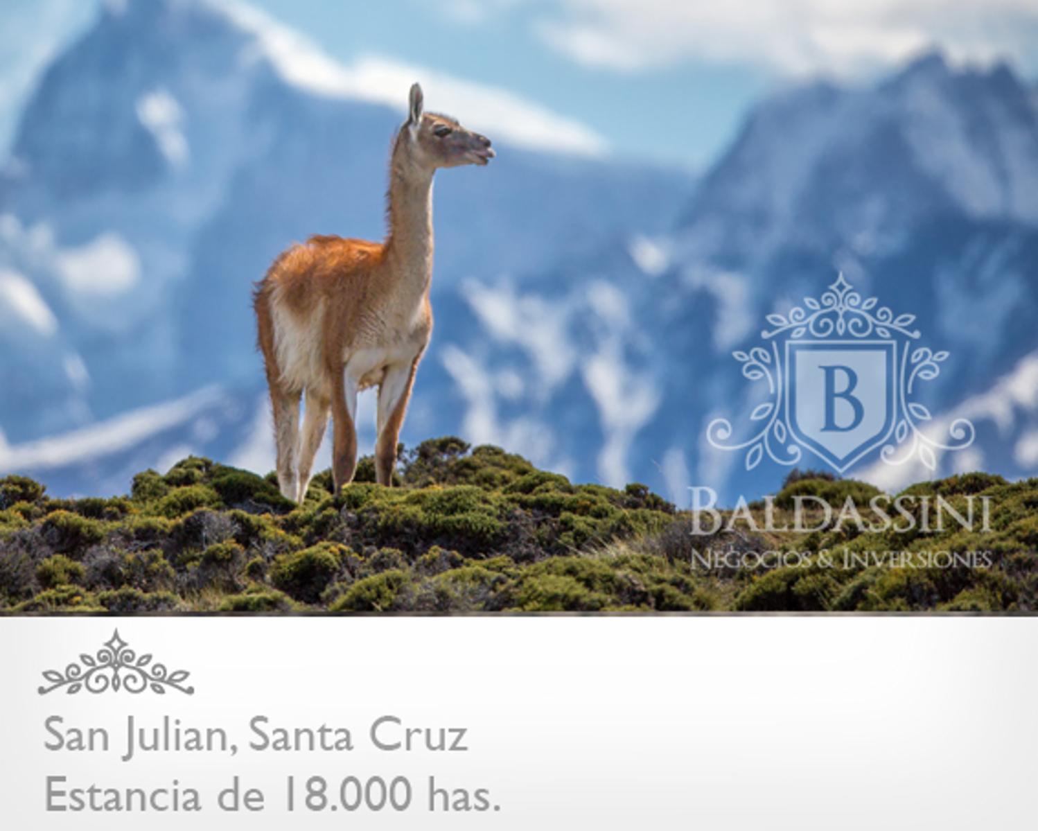 ESTANCIA DE 18.000 HAS EN SAN JULIAN ENTRE RUTA 3 Y RUTA 25 · Magallanes — foto 15