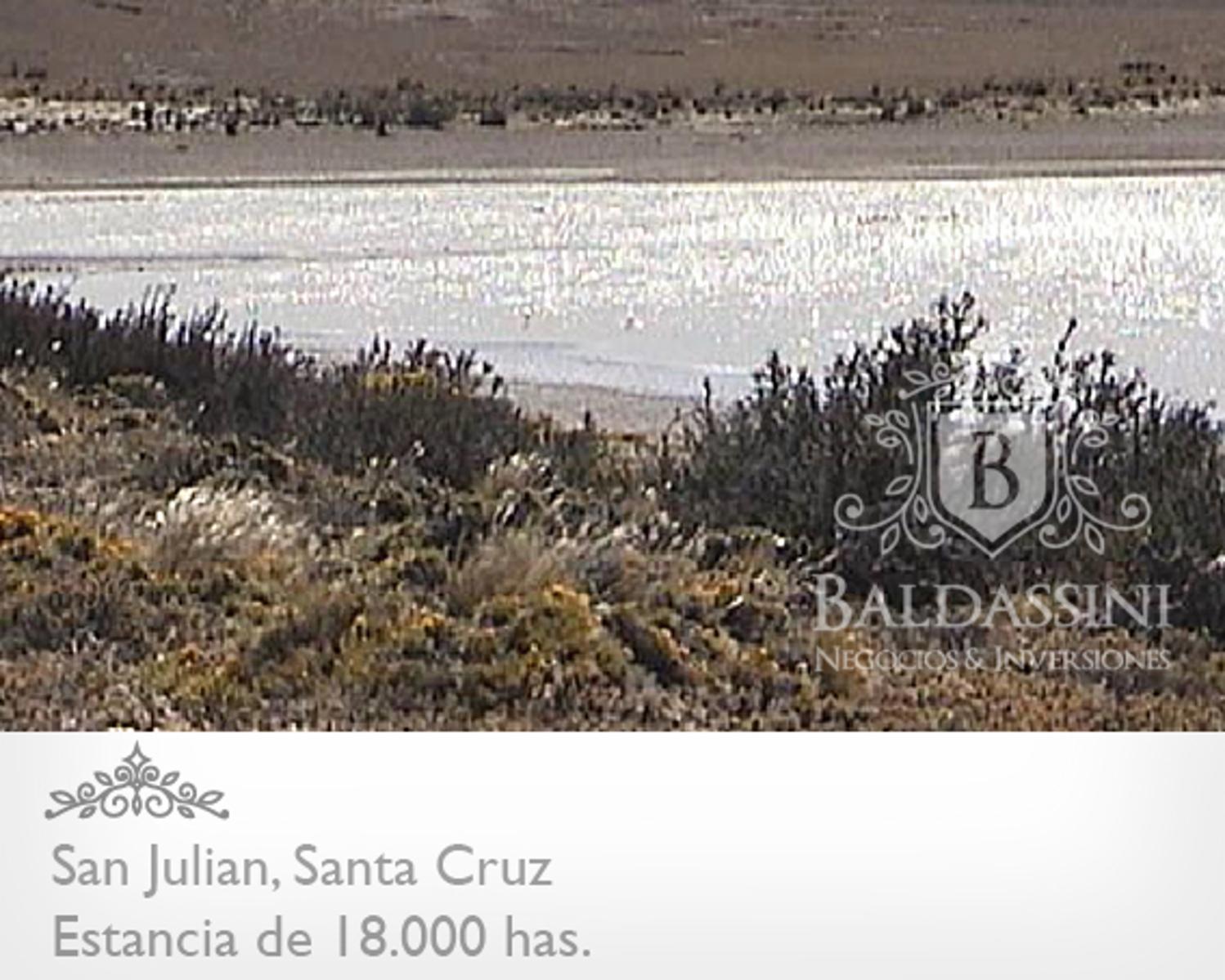 ESTANCIA DE 18.000 HAS EN SAN JULIAN ENTRE RUTA 3 Y RUTA 25 · Magallanes — foto 6