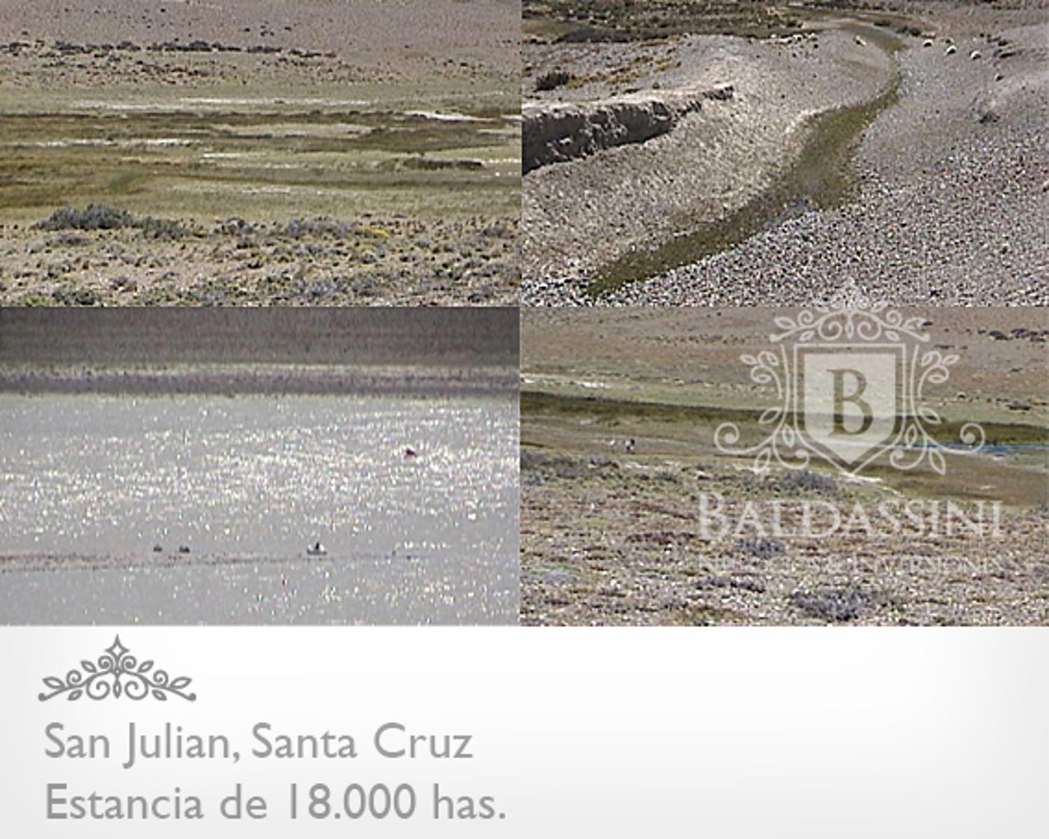 ESTANCIA DE 18.000 HAS EN SAN JULIAN ENTRE RUTA 3 Y RUTA 25 · Magallanes — foto 8