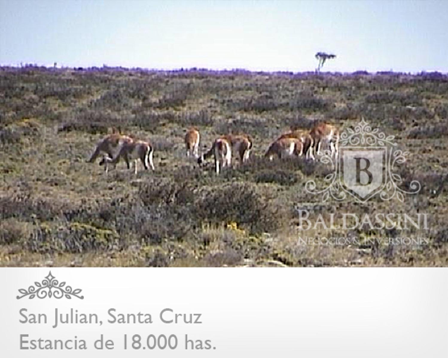ESTANCIA DE 18.000 HAS EN SAN JULIAN ENTRE RUTA 3 Y RUTA 25 · Magallanes — foto 9