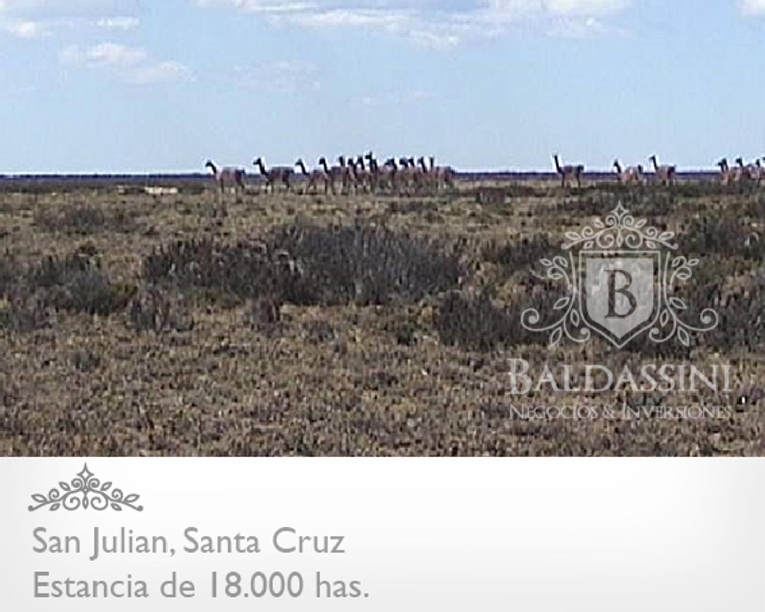 ESTANCIA DE 18.000 HAS EN SAN JULIAN ENTRE RUTA 3 Y RUTA 25 · Magallanes — foto 10