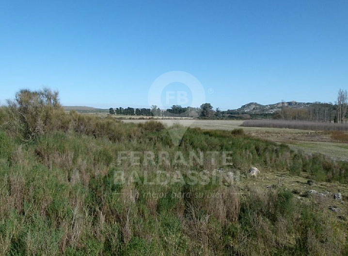 Tandil Cerro Leones 52 has, ideal desarrollo urbanístico, country, loteo - Ruta 30
son 32 has agricolas, resto ganadero.con alambrado perimetral
