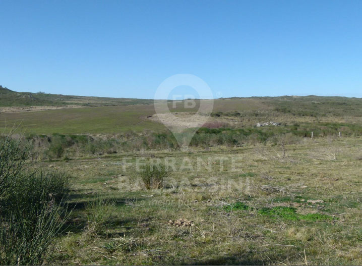 Cerro Leones - Tandil · Tandil — foto 3