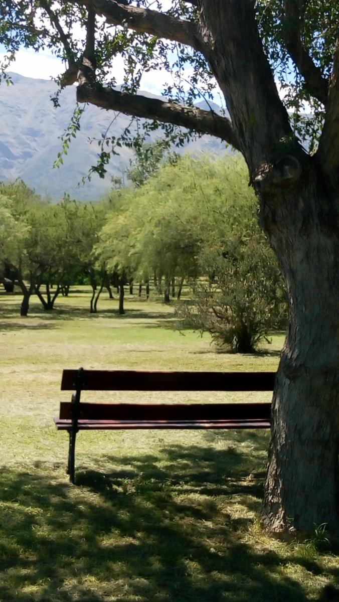 RUTA 14 KM 175 · San Javier — foto 17