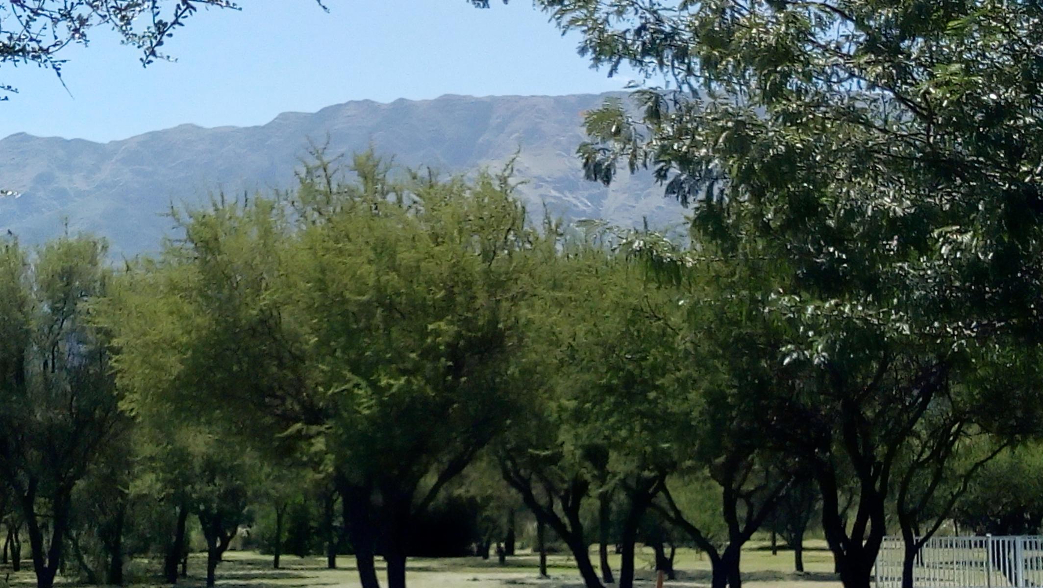 RUTA 14 KM 175 · San Javier — foto 5