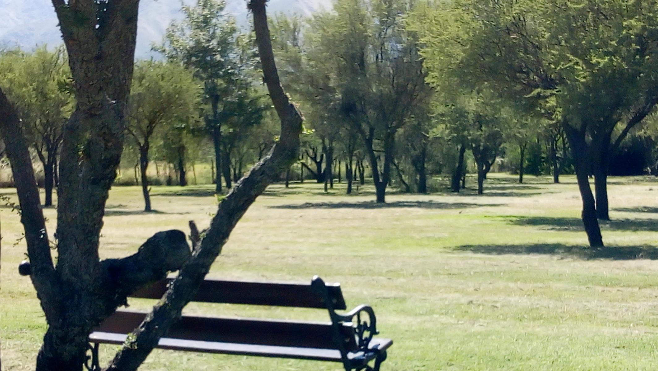 RUTA 14 KM 175 · San Javier — foto 6