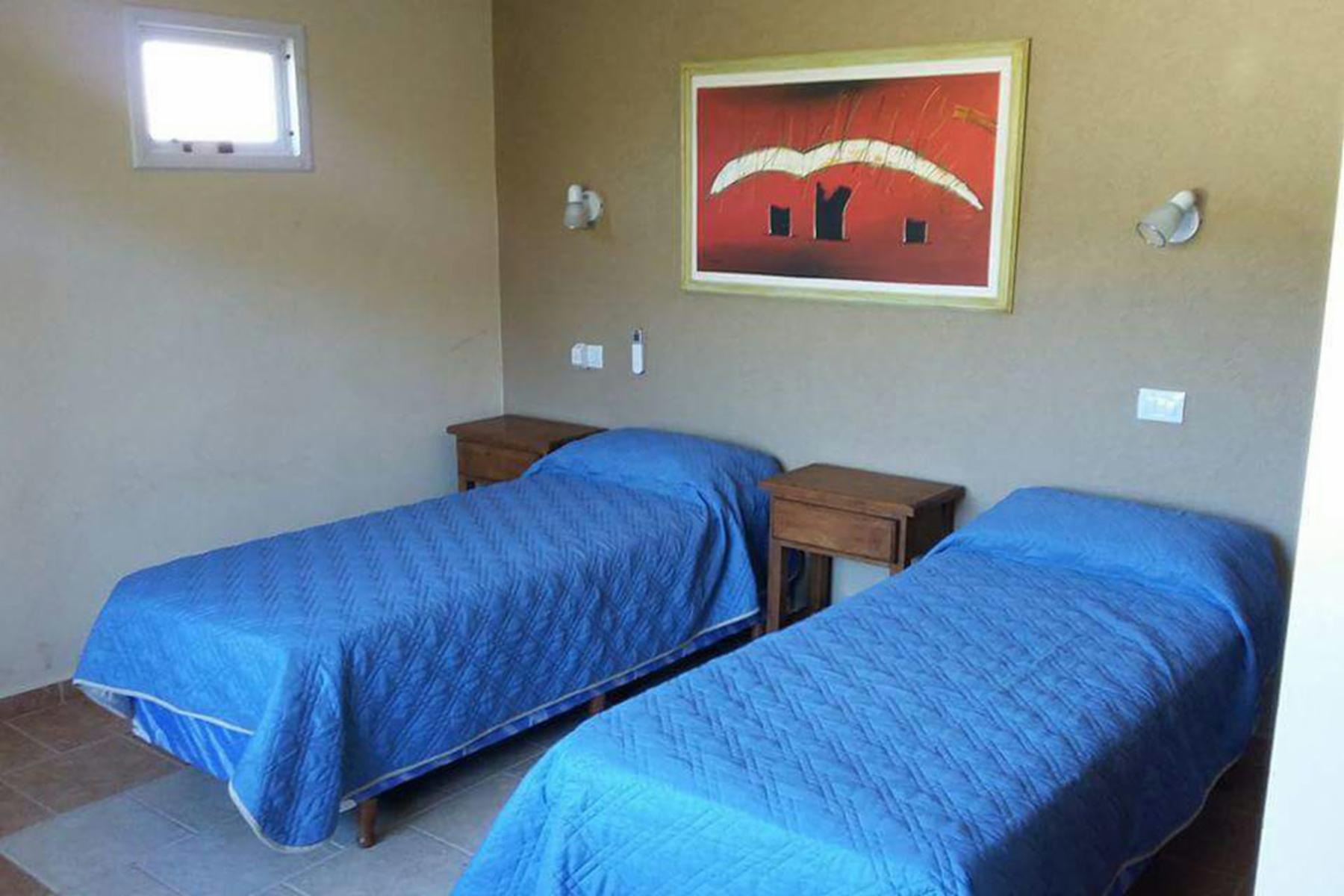 Palmeras · Junín — foto 11