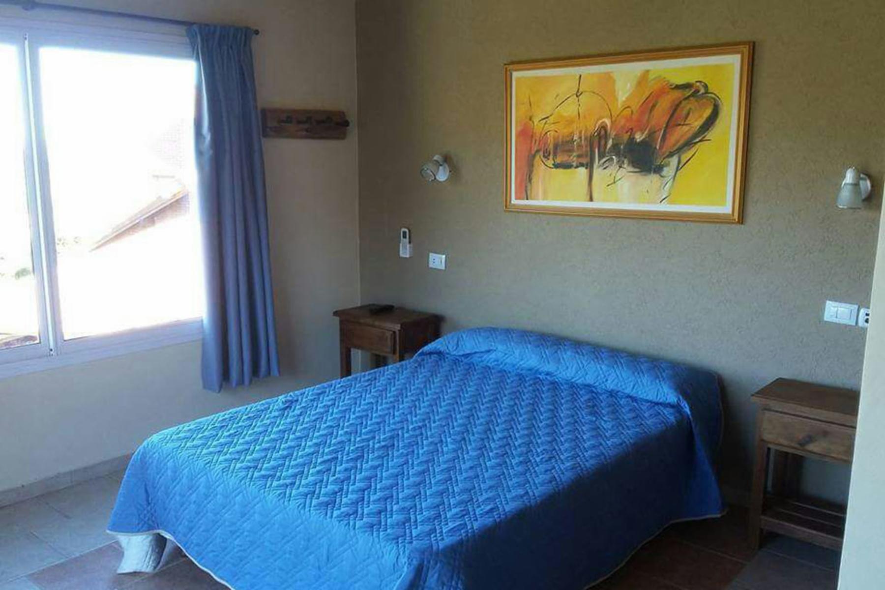 Palmeras · Junín — foto 10