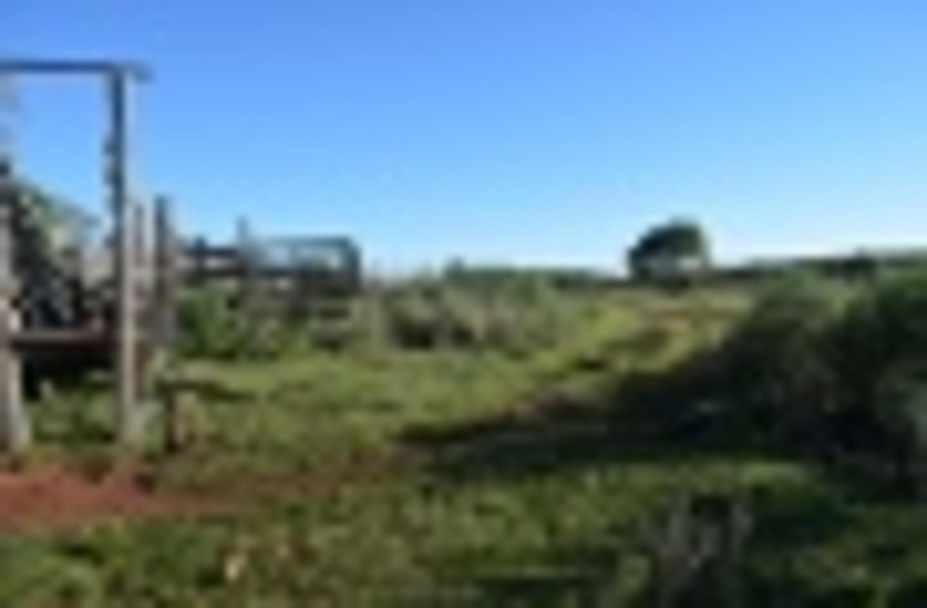 VENDO HERMOSO CAMPO GANADER · Apóstoles — foto 4