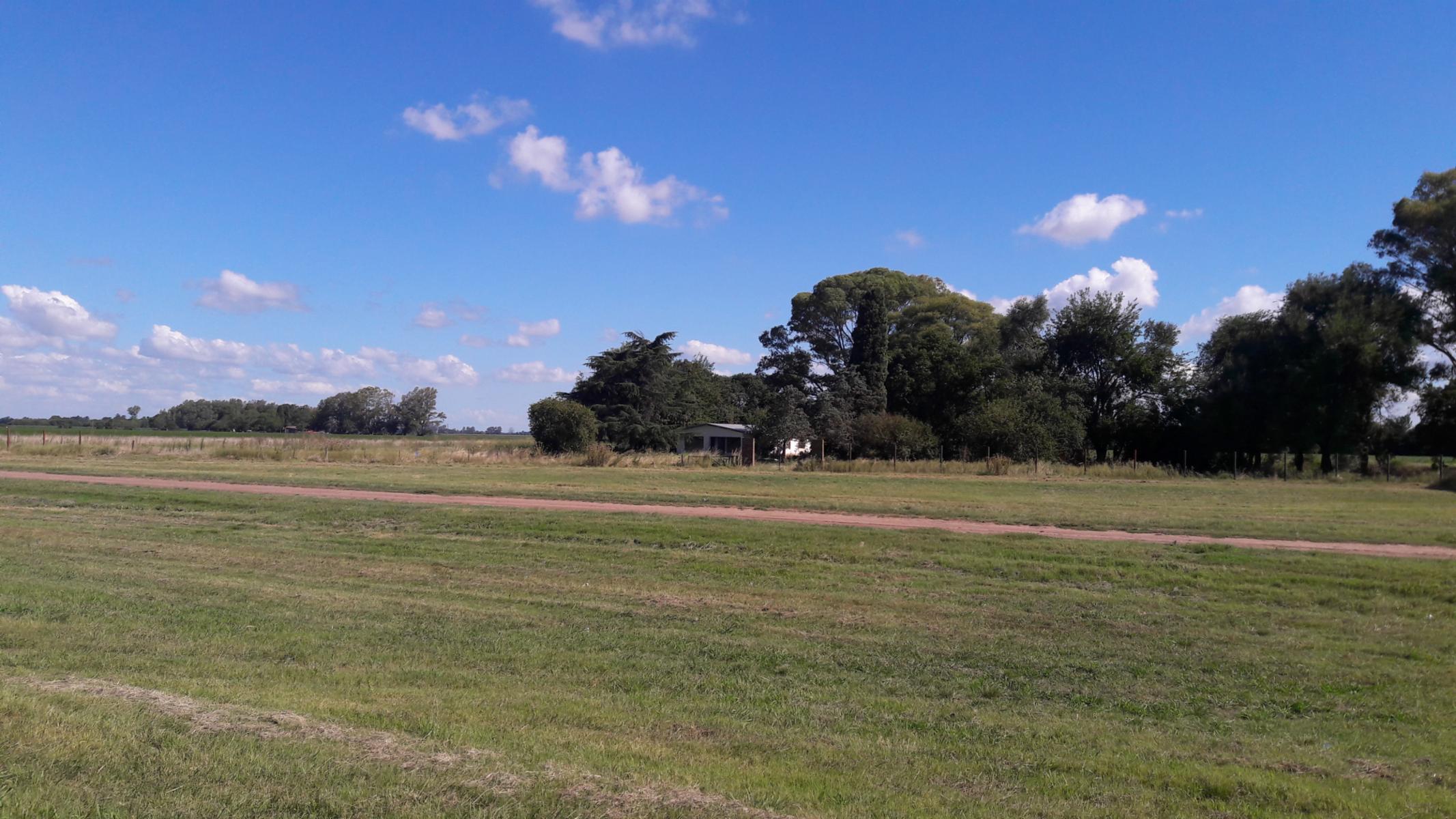CAMPO EN VENTA DE 2.5 HA CON CASA - RUTA 9 - BARADERO - BS AS