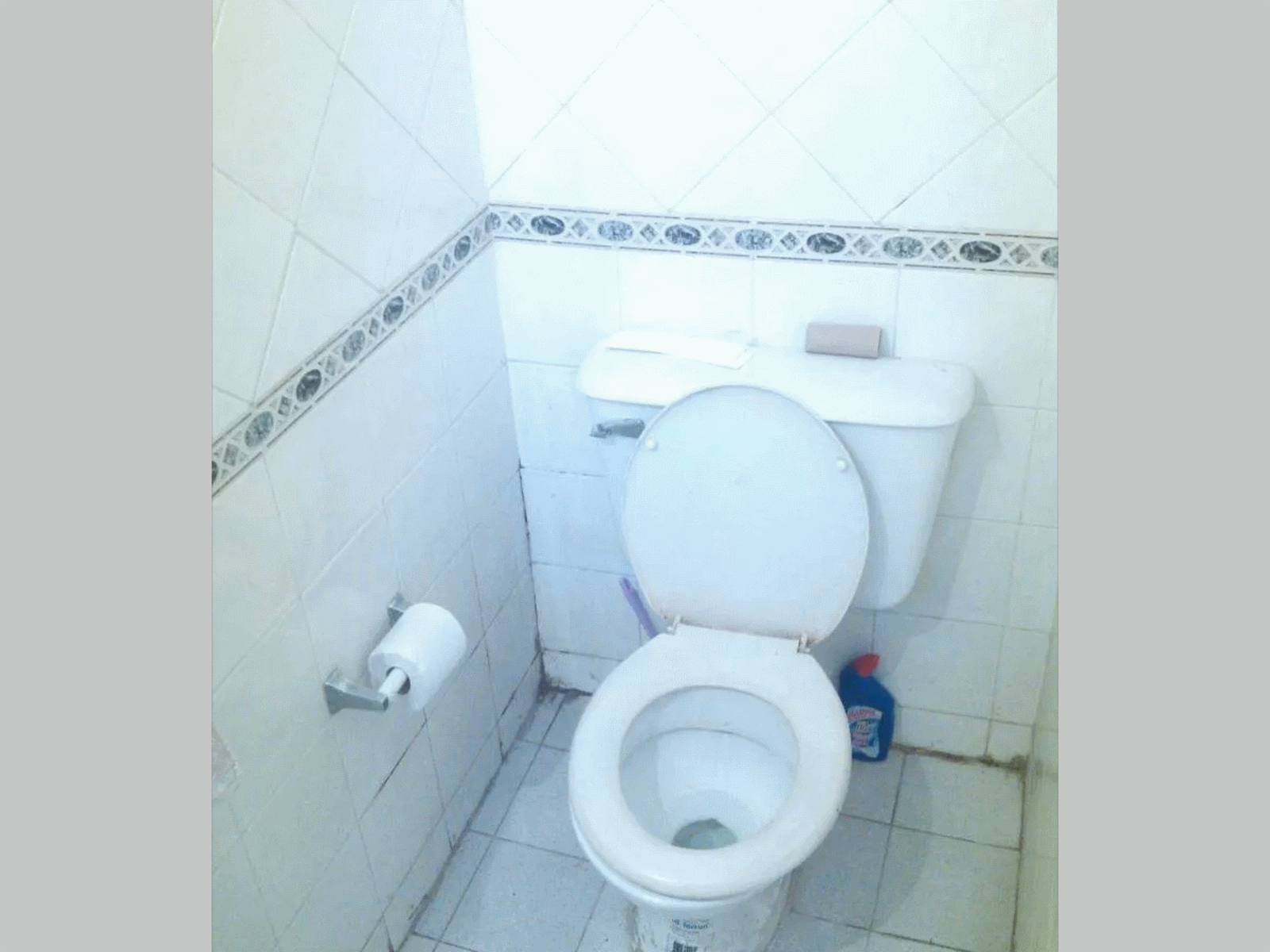 Portela 1700 · Floresta — foto 5