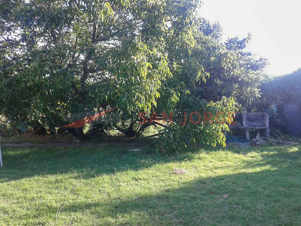 Calle 7 y 16 · General Pueyrredon — foto 4