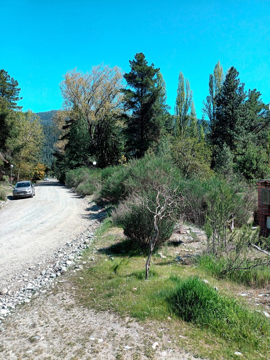 La Golondrina · Cushamen — foto 3