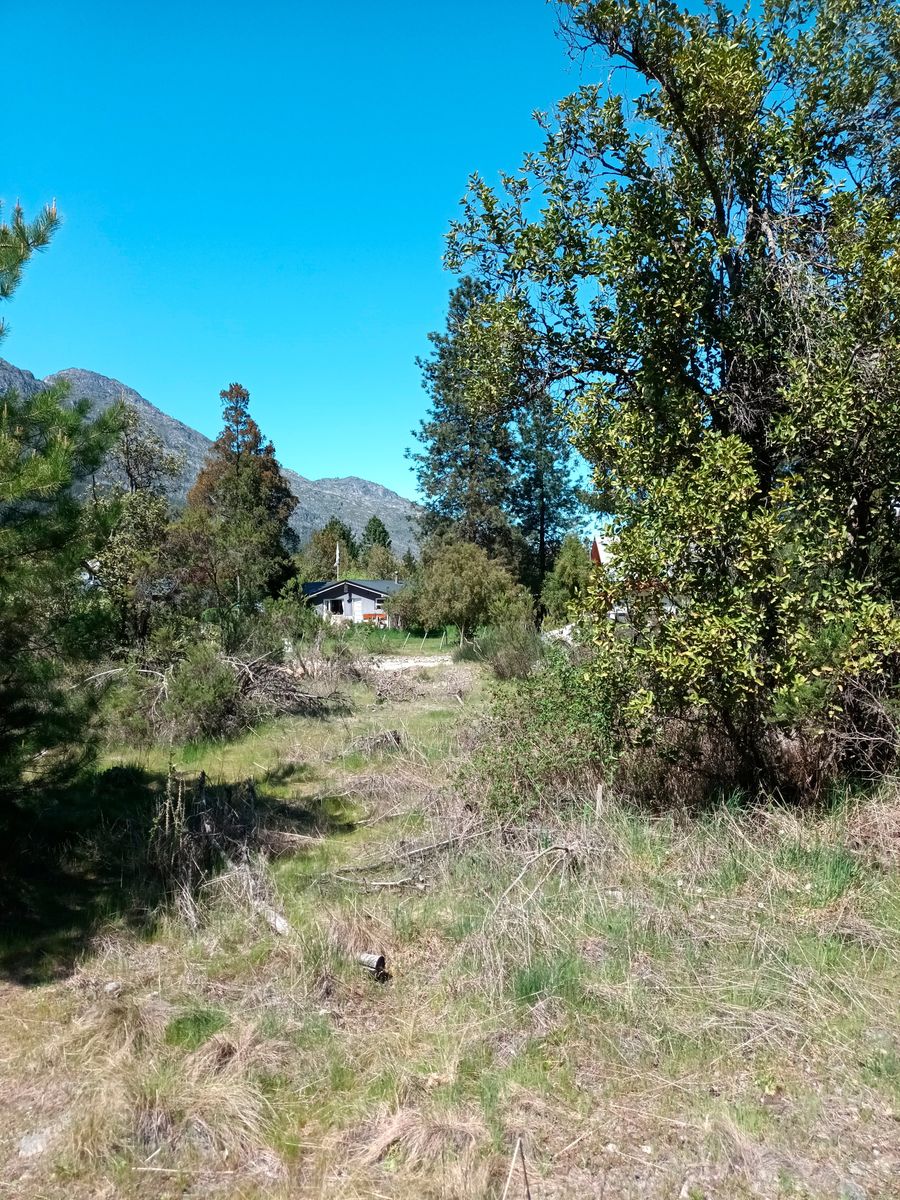 La Golondrina · Cushamen — foto 4