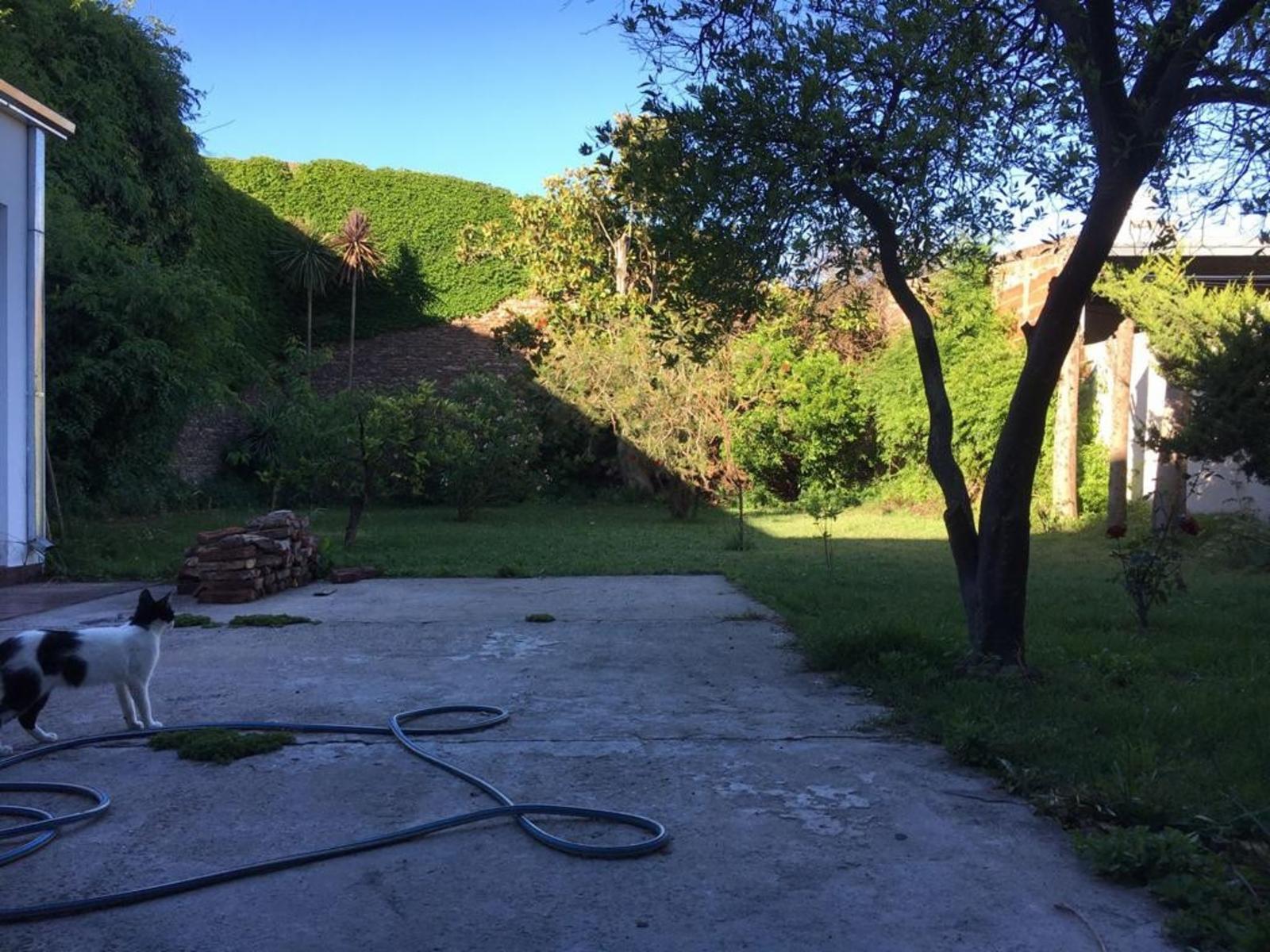 Pueyrredon 100 · Tres Arroyos — foto 20