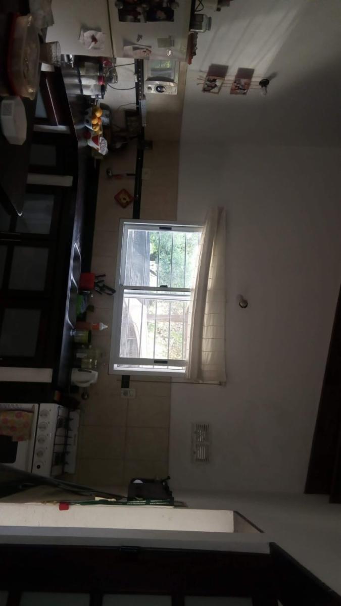 La Abeja 1800 · Junín — foto 16