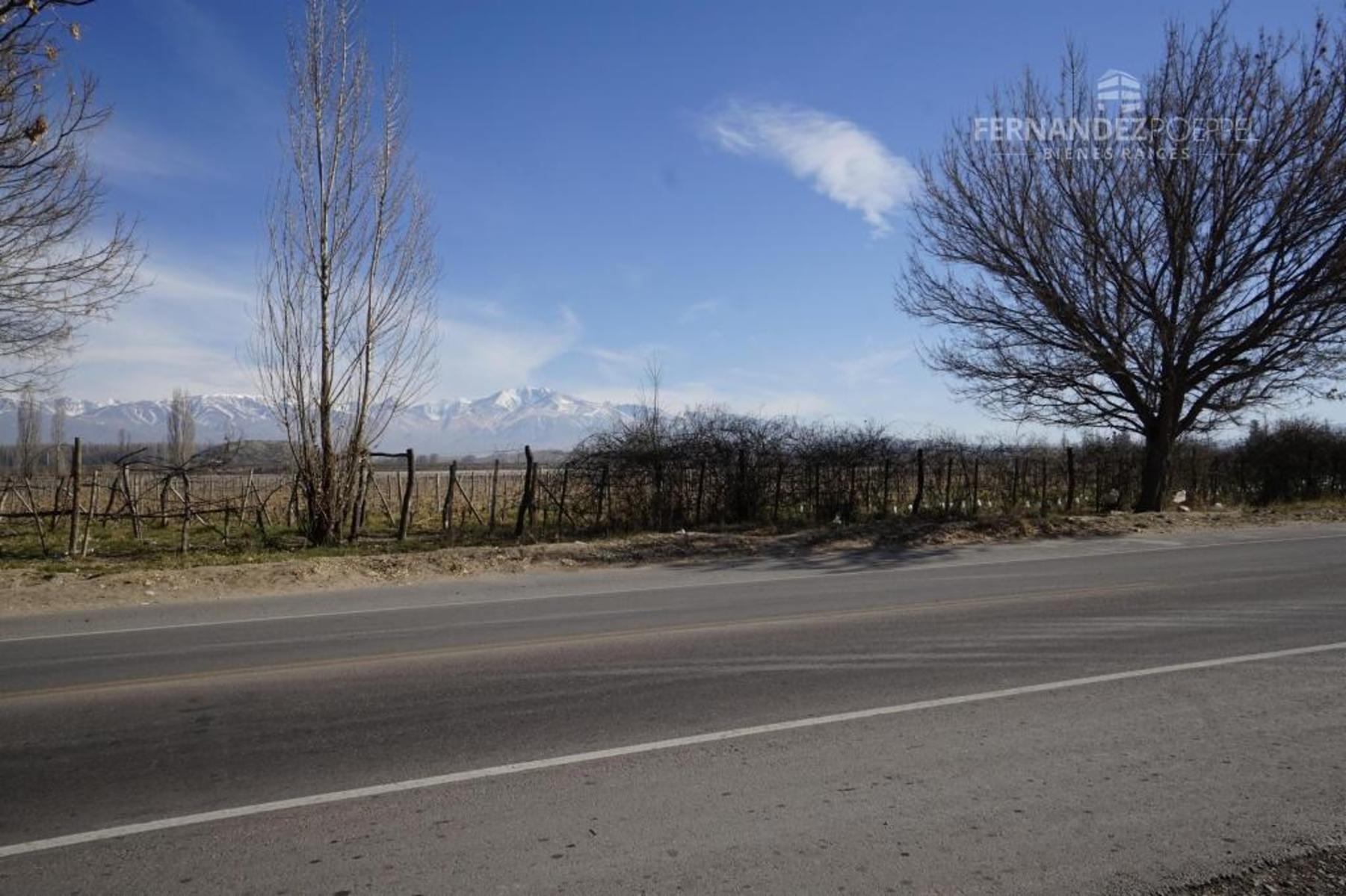San Jose · Tupungato — foto 12
