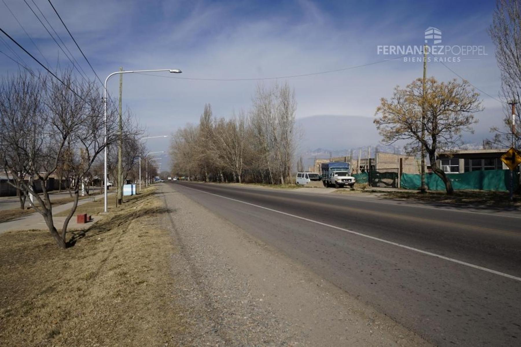 San Jose · Tupungato — foto 15