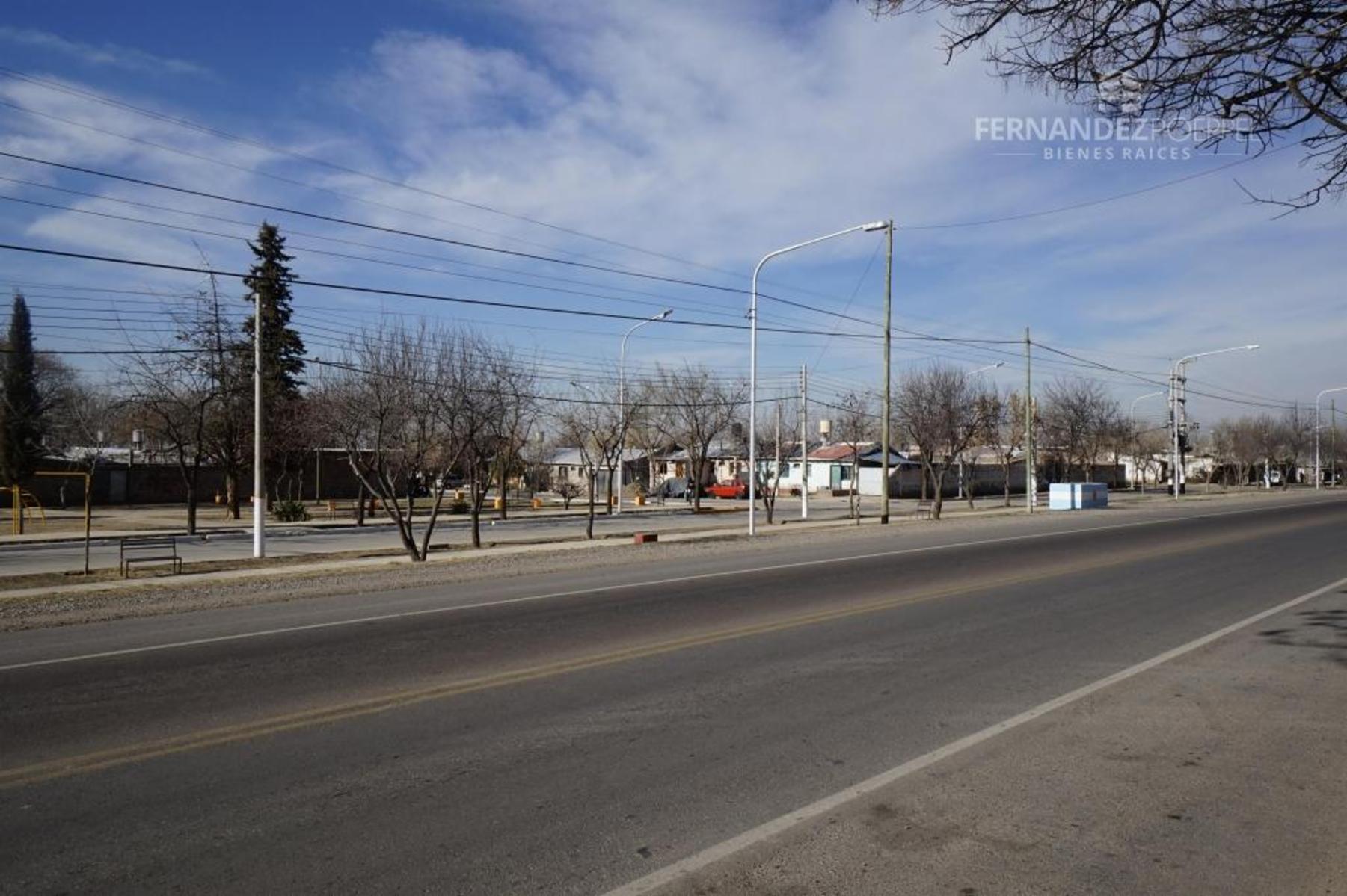 San Jose · Tupungato — foto 16