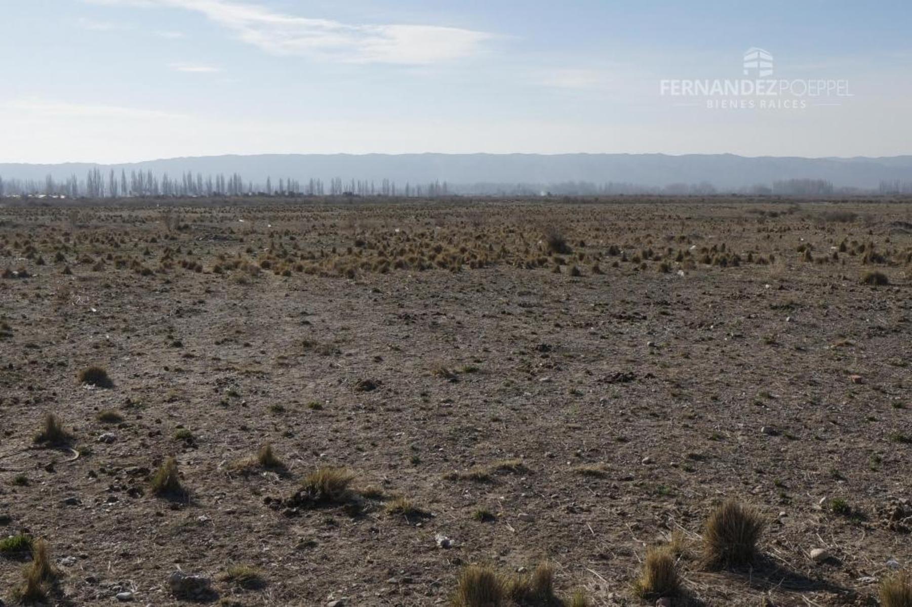 San Jose · Tupungato — foto 6