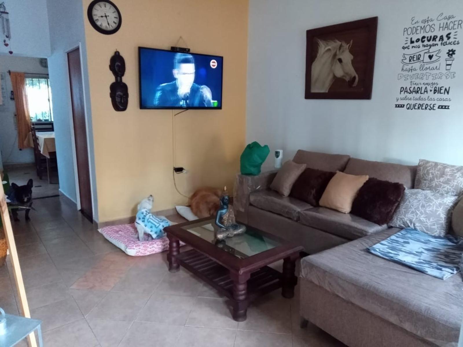 PANAMA 4251 · La Matanza — foto 14