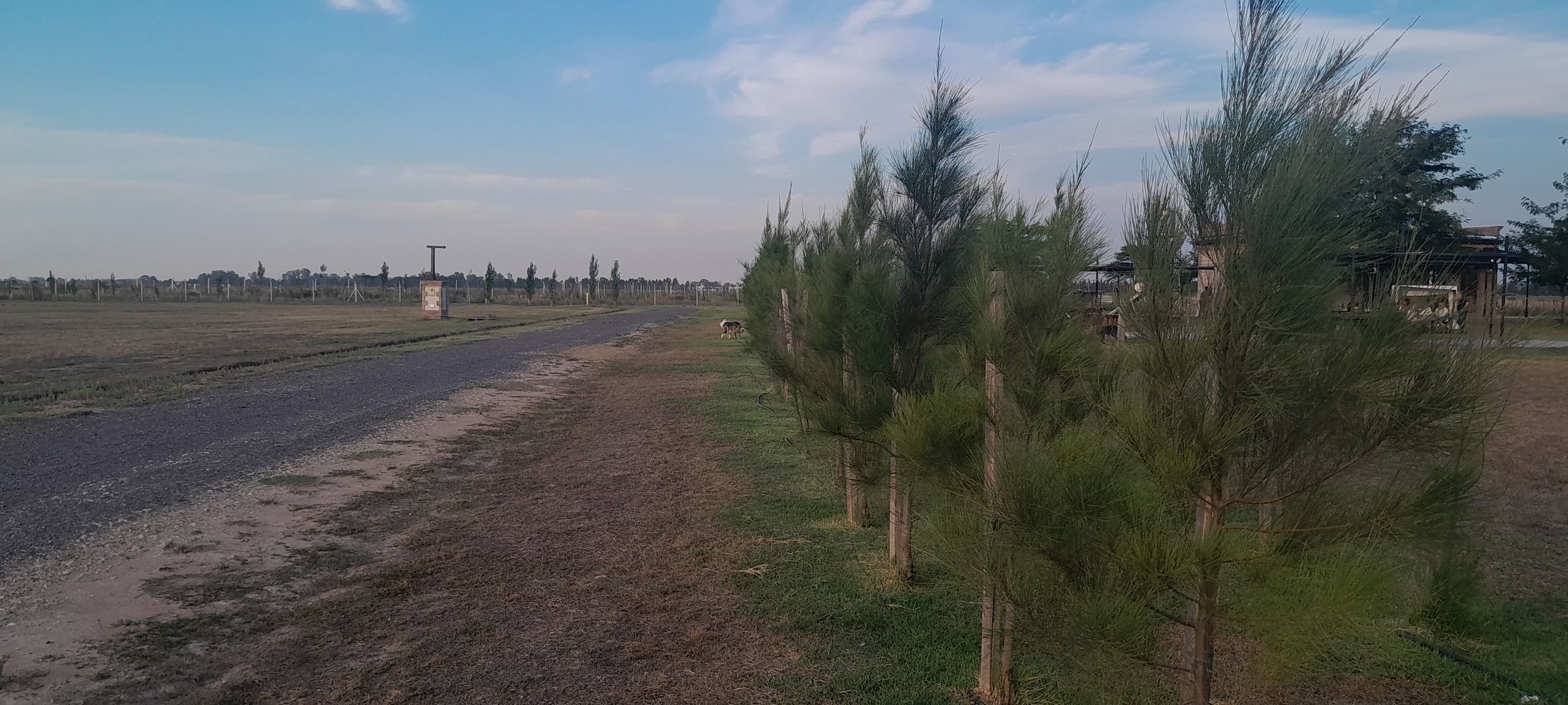 RUTA 58  Y CAPDEVILLA · San Vicente — foto 17