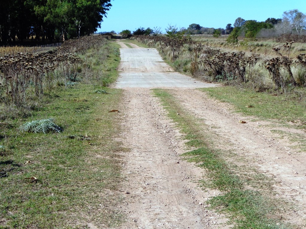 Campo Tapalque