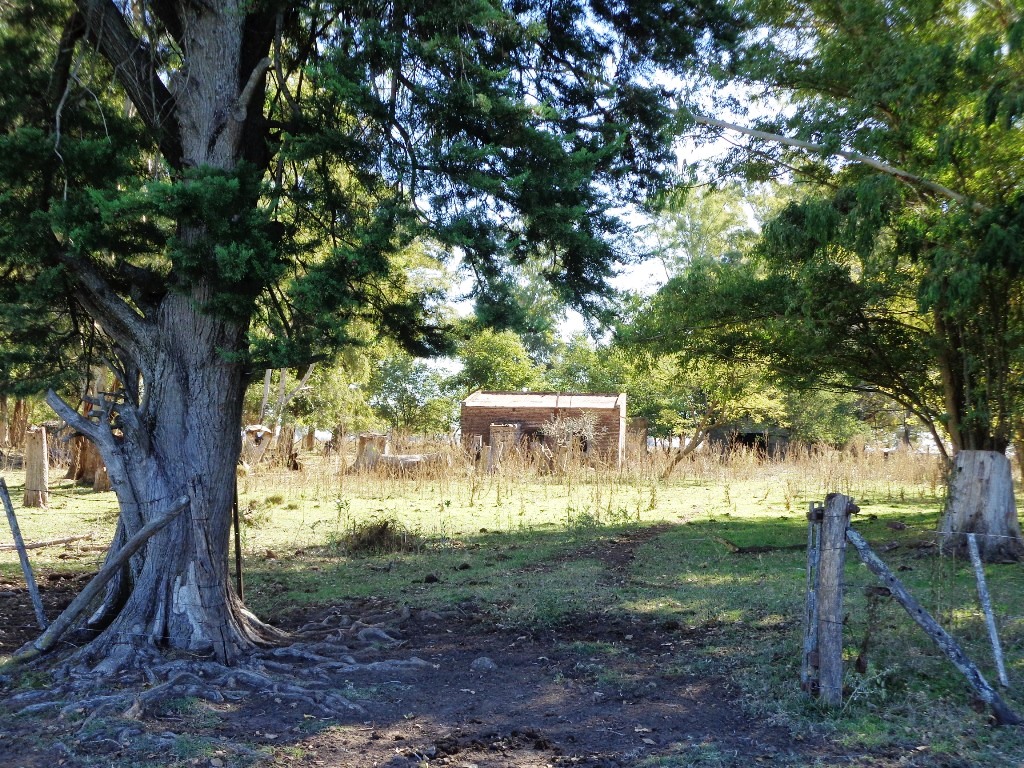 Ruta 3 km 215, a 30 km de ruta · Tapalqué — foto 9