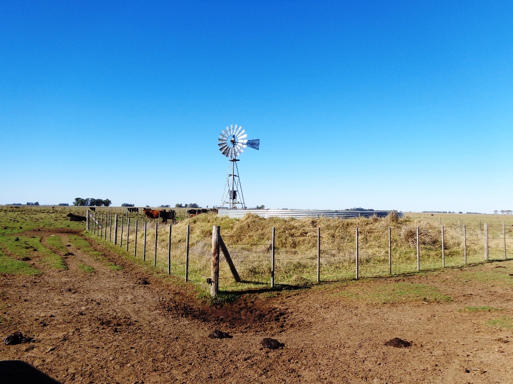 Ruta 3 km 215, a 30 km de ruta · Tapalqué — foto 10