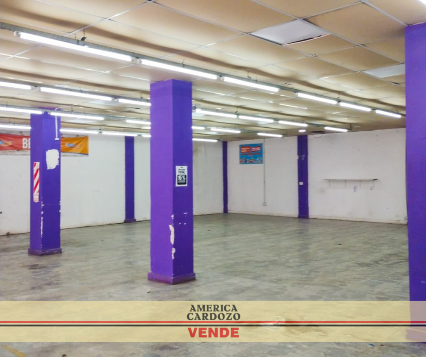 MARCOS BUENO 100 · Moreno — foto 6