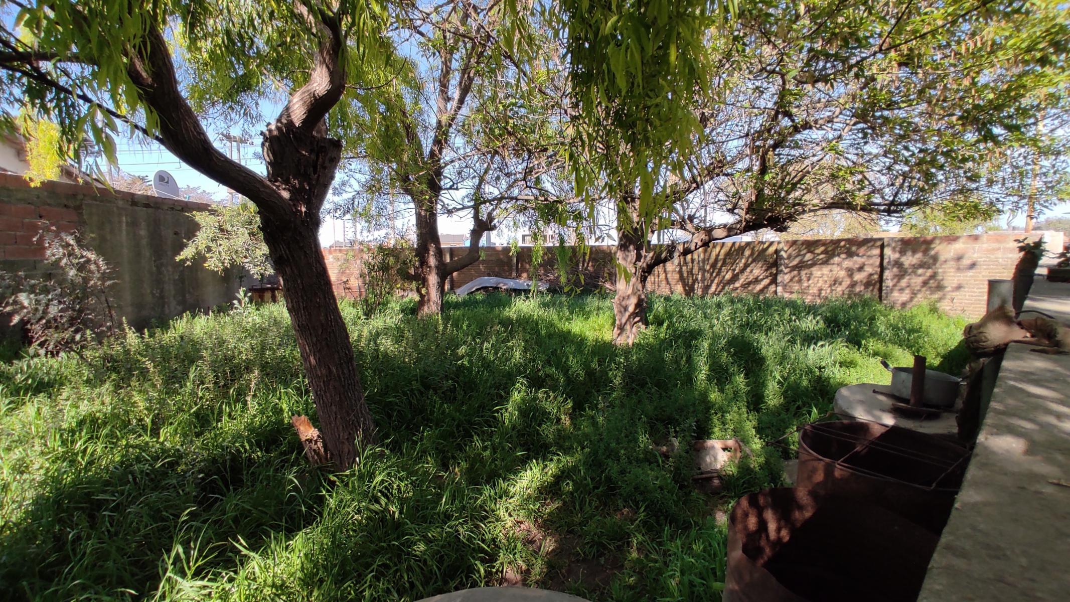 VENDO CASA CON TERRENO Y GALPON (ALTE BROWN 1522 QUEQUEN) · Necochea — foto 16