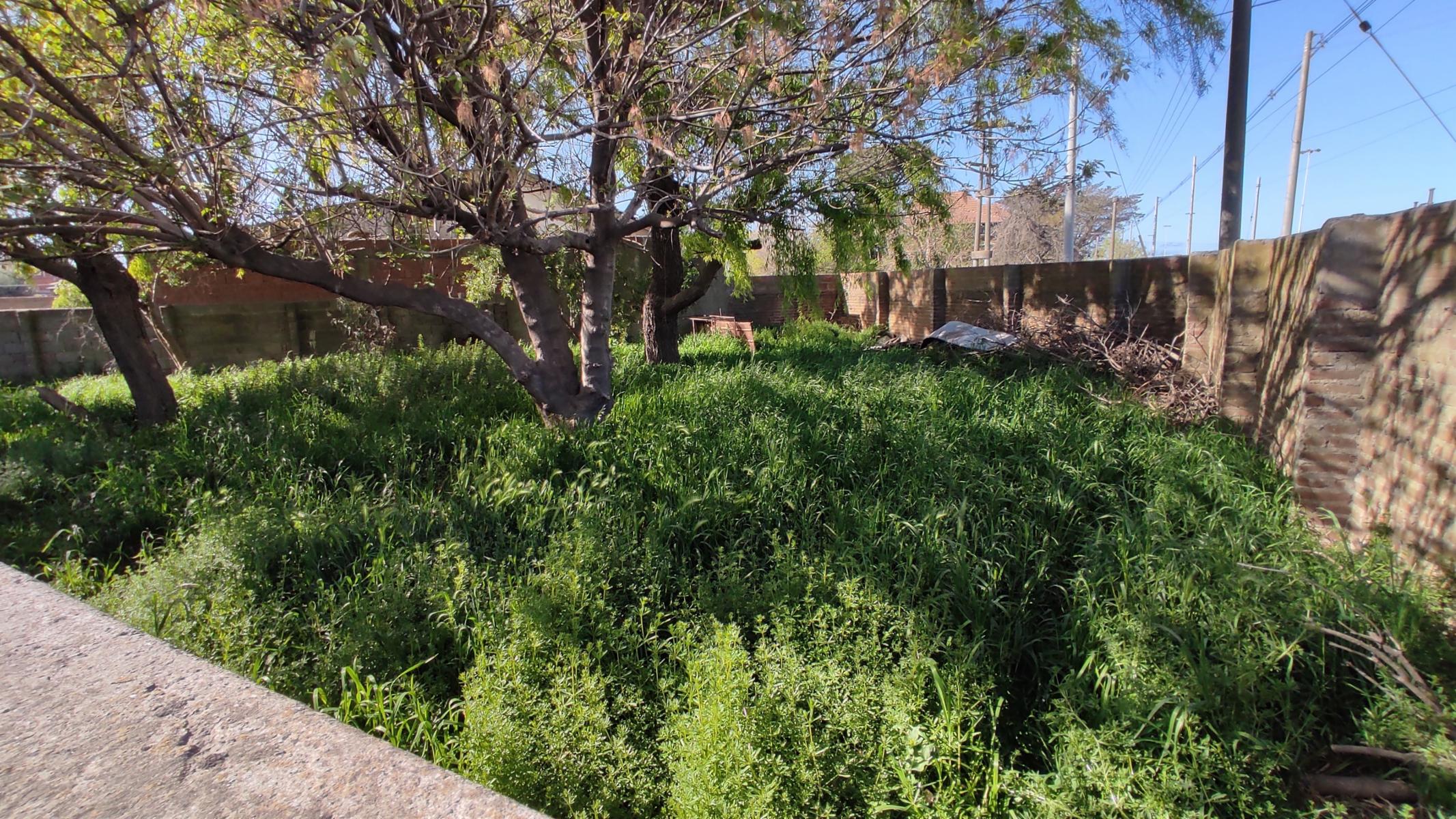 VENDO CASA CON TERRENO Y GALPON (ALTE BROWN 1522 QUEQUEN) · Necochea — foto 4