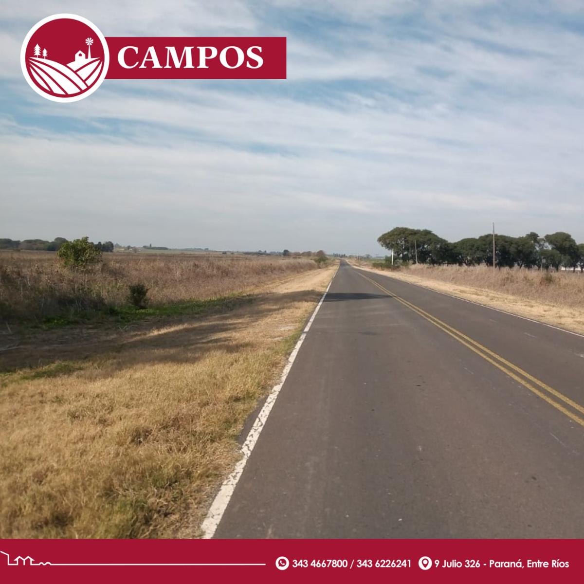 A solo a 40 km de Paraná - entre Seguí y Viale · Paraná — foto 3