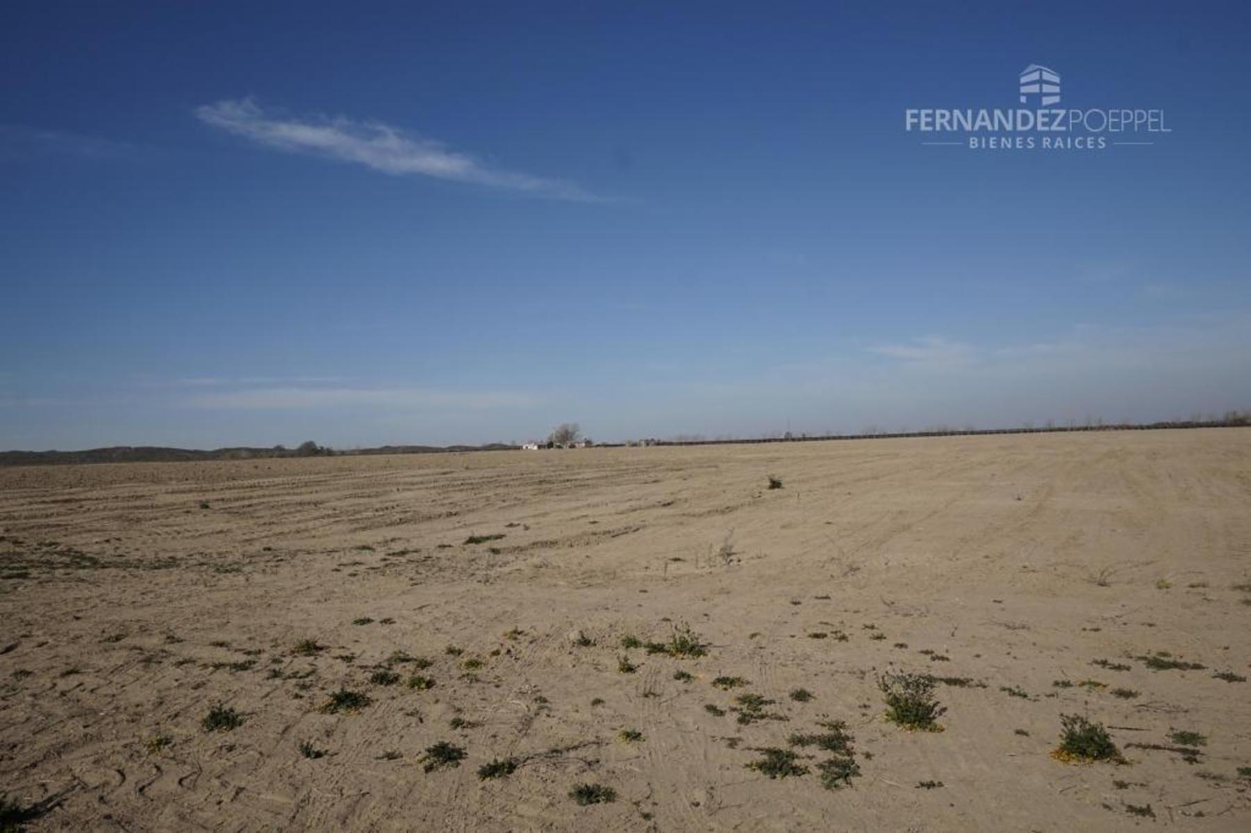 Ruta 88 · Tupungato — foto 11