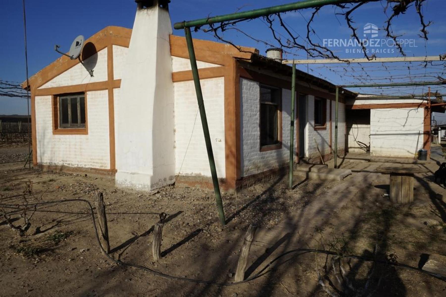 Ruta 88 · Tupungato — foto 15